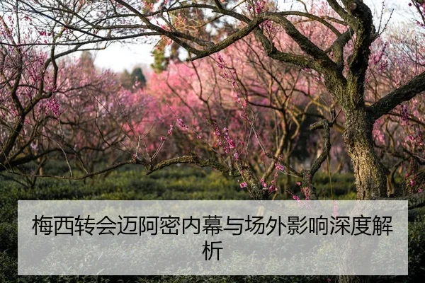 梅西转会迈阿密内幕与场外影响深度解析